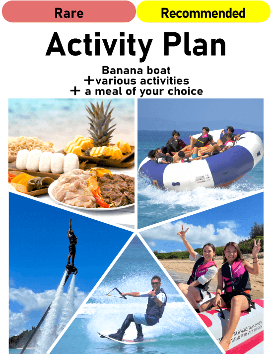 Activity Plan