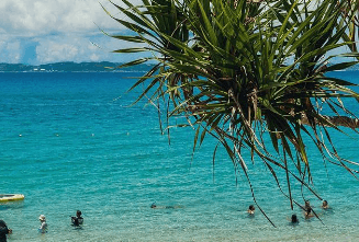 グラデーションがきれいです🏖️🌺