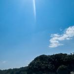 この時期は海の透明度が高い日が多いんです✨✨のサムネイル
