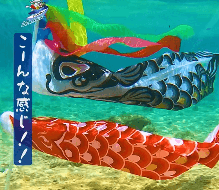 シークルーズの鯉のぼり