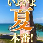 沖縄は梅雨明けてます☀️のサムネイル