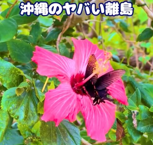 全てが非日常‼️