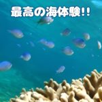 津堅島で最高の海中散歩を 体験してください‼️のサムネイル