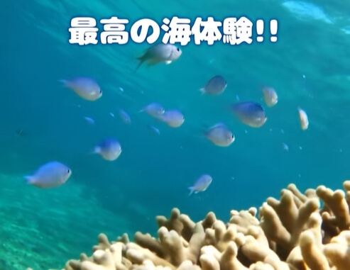 津堅島で最高の海中散歩を 体験してください‼️