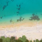 潜るのもよし、眺めるのもよし🤿🌴のサムネイル