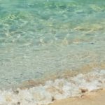 海の透明度がグンと高くなるこの季節🌿🩵✨のサムネイル