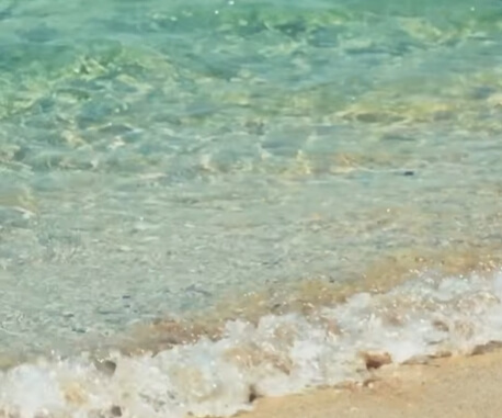 海の透明度がグンと高くなるこの季節🌿🩵✨