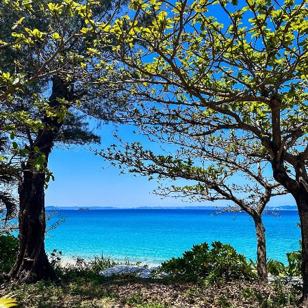 冬でもこの色❄️🤍
