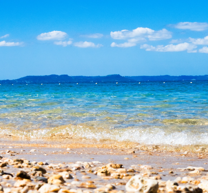 ついに、最高のシーズンが始まります🌿🤍